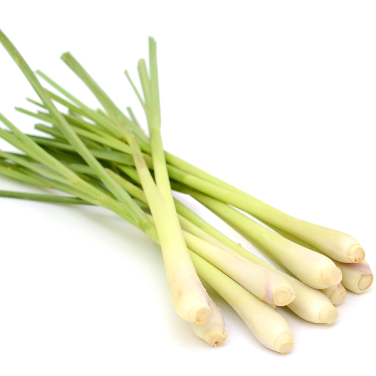 Herbs Lemon Grass Bunch Farmers First